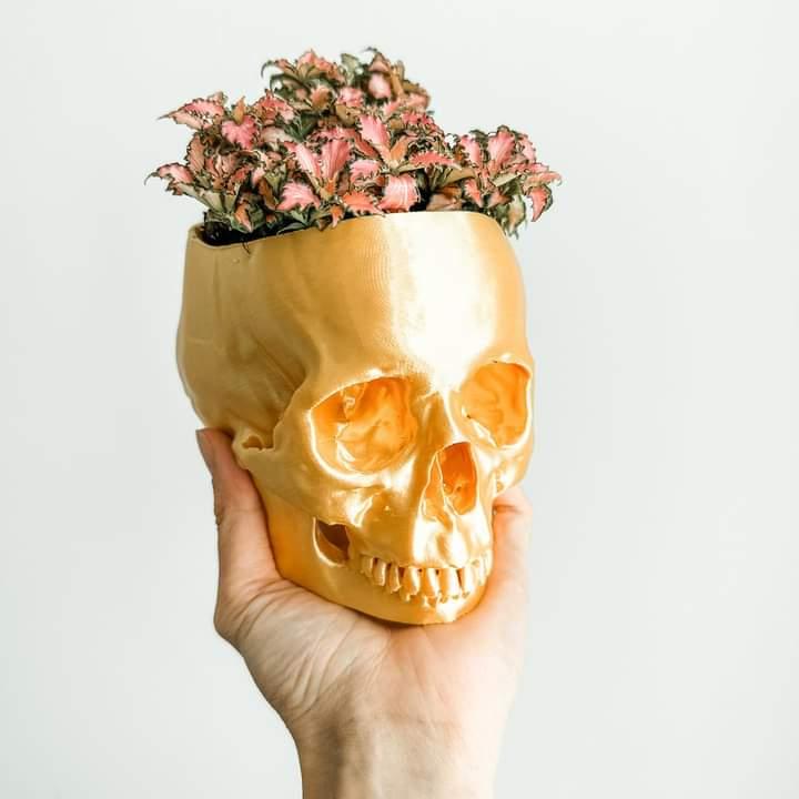 Skull Planter