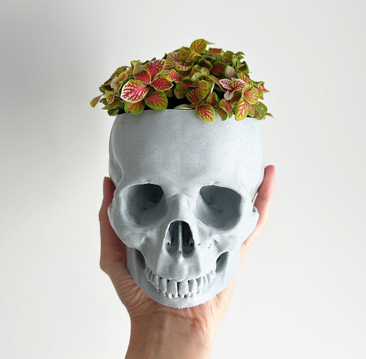 Skull Planter