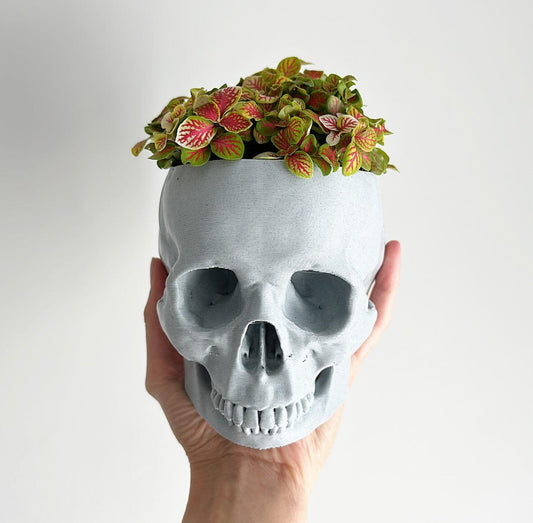 Skull Planter