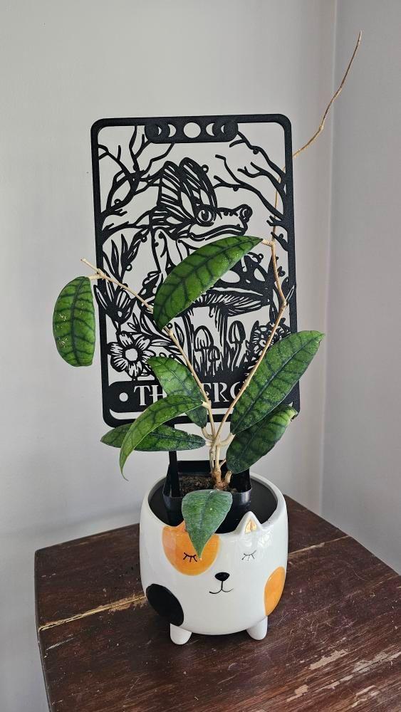 The Frog Tarot Card Trellis