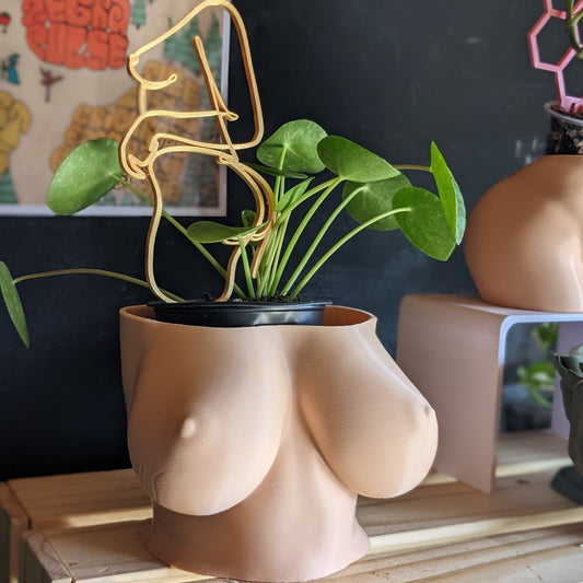 Aurora Planter
