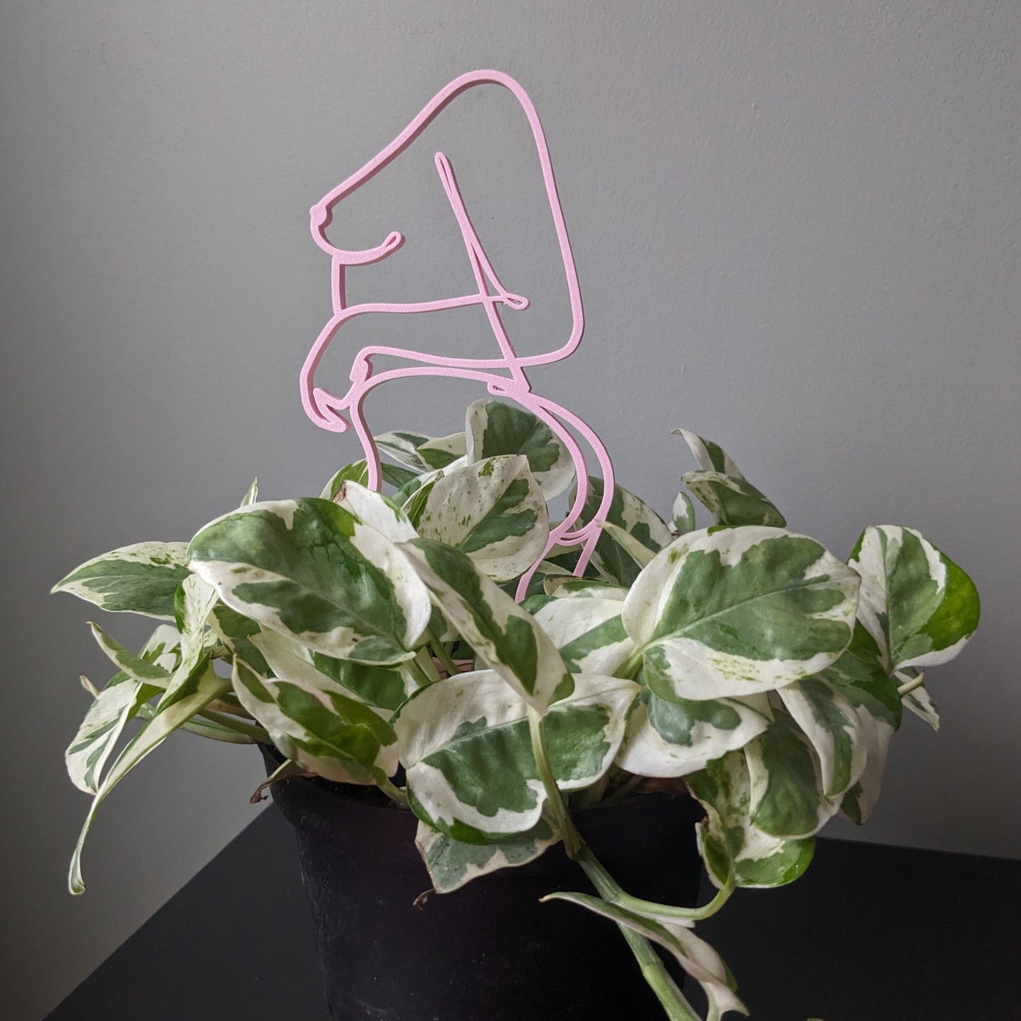 Feelin' Myself Trellis | The BB Collection
