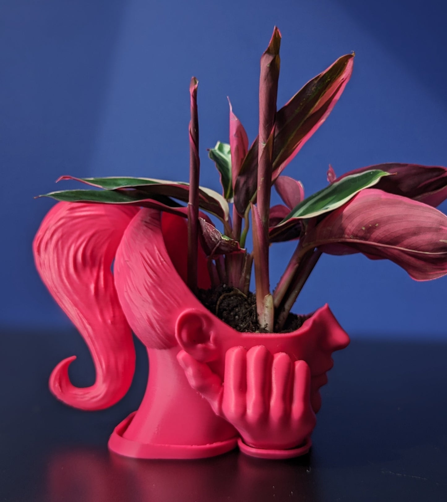 BB Pontyail Planter | The BB Collection