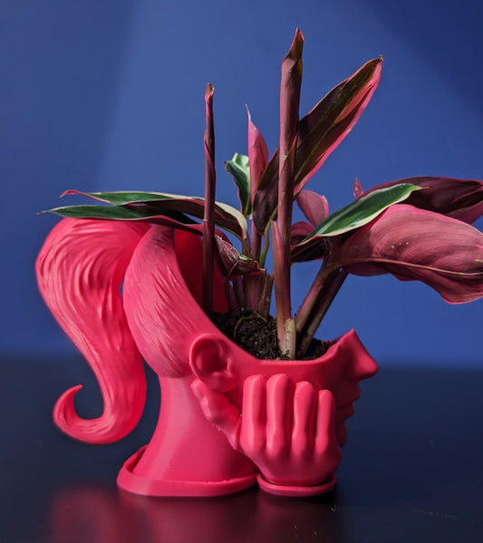 BB Pontyail Planter | The BB Collection