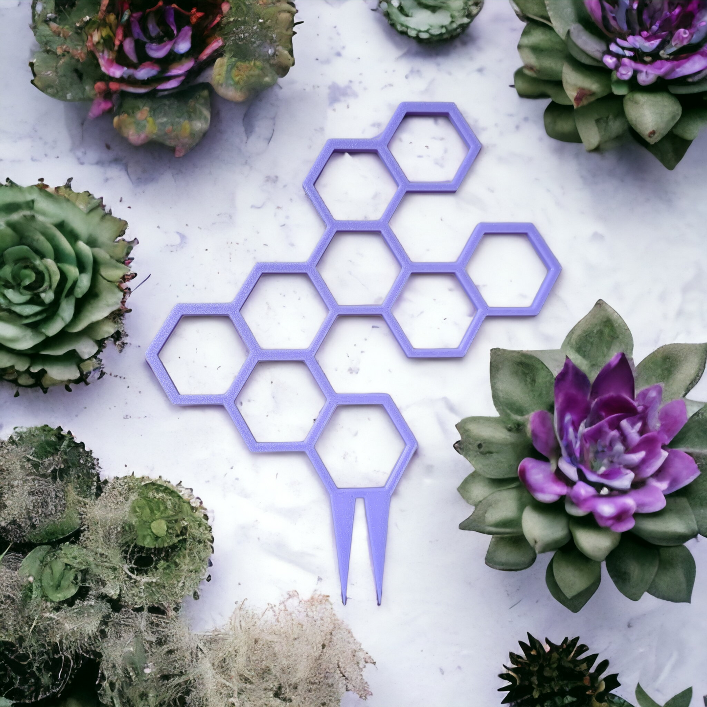 Honeycomb Plant Trellis
