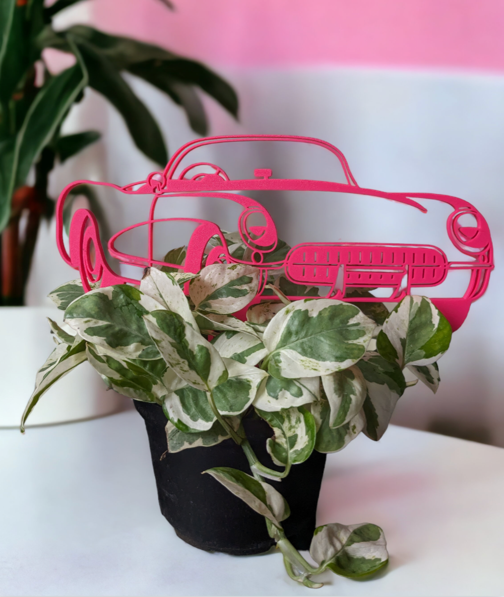 BB Convertible Car Trellis | The BB Collection