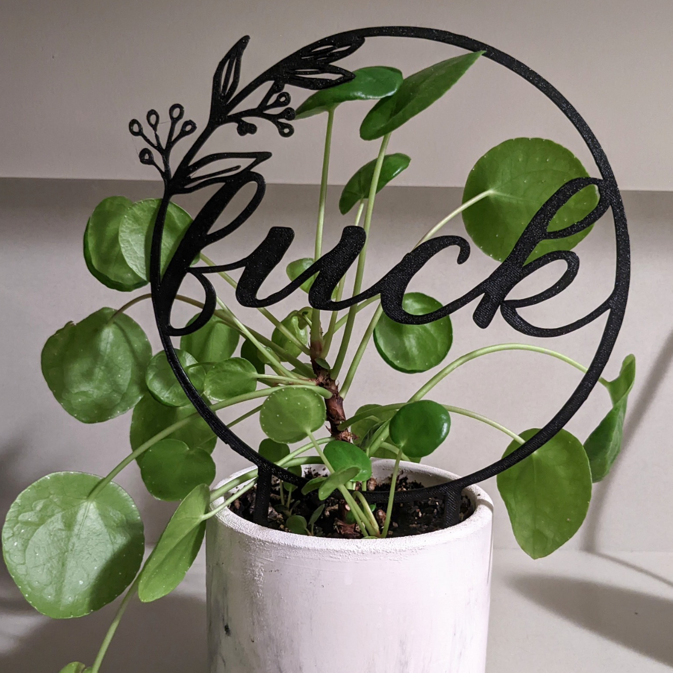 "Fuck" Trellis