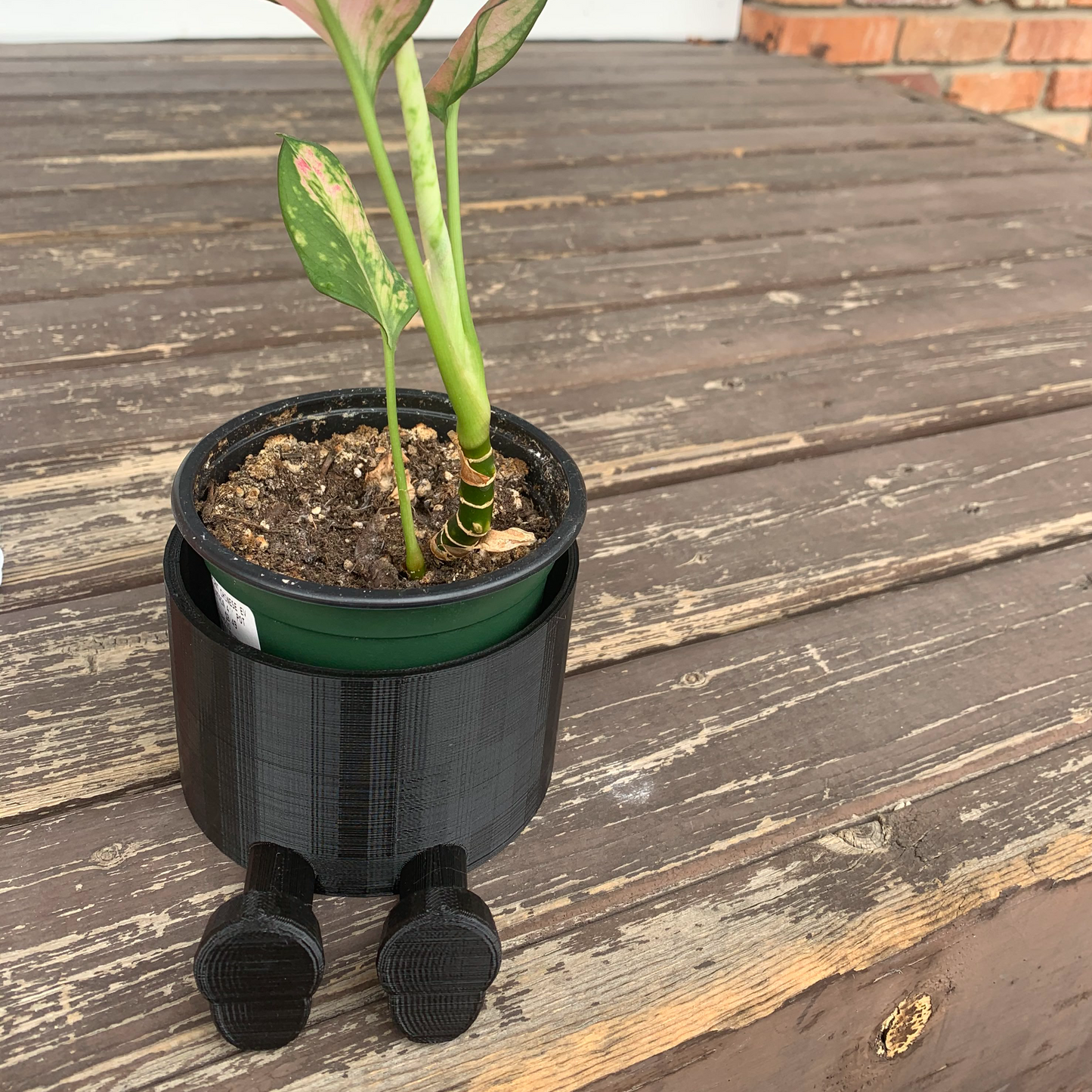 Plant Pot With Sneakers