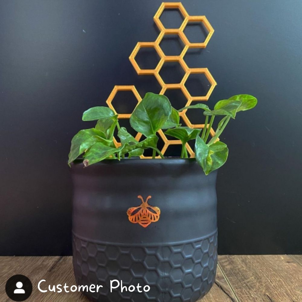 Honeycomb Plant Trellis