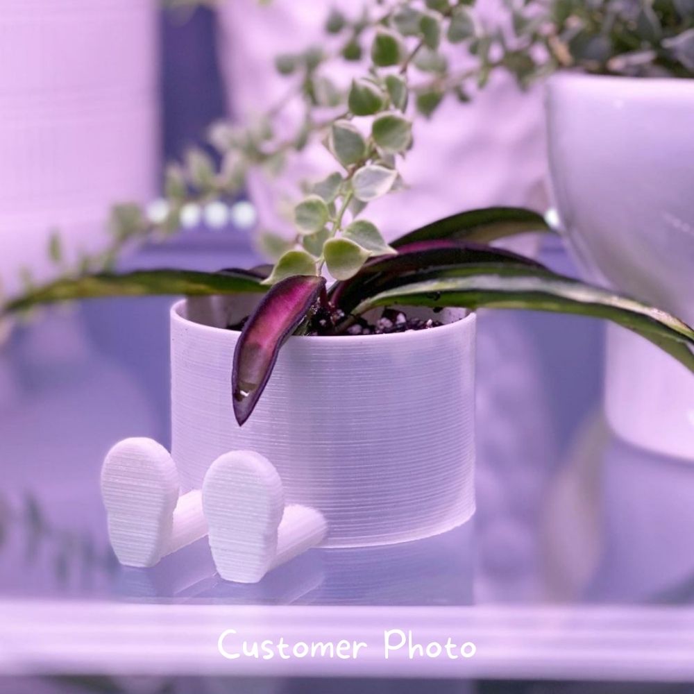 Plant Pot With Sneakers