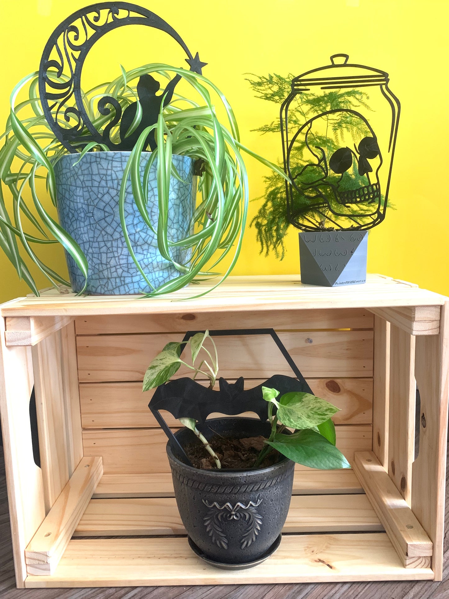 Skull in a Jar Trellis
