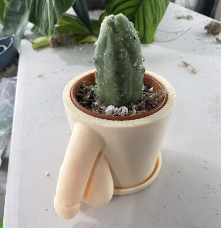 Pickle Planter