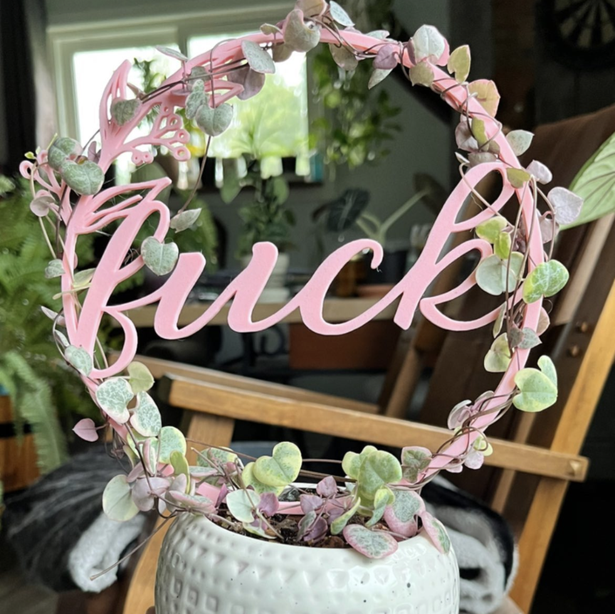 "Fuck" Trellis
