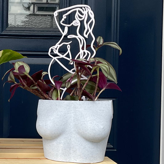Dawn Planter