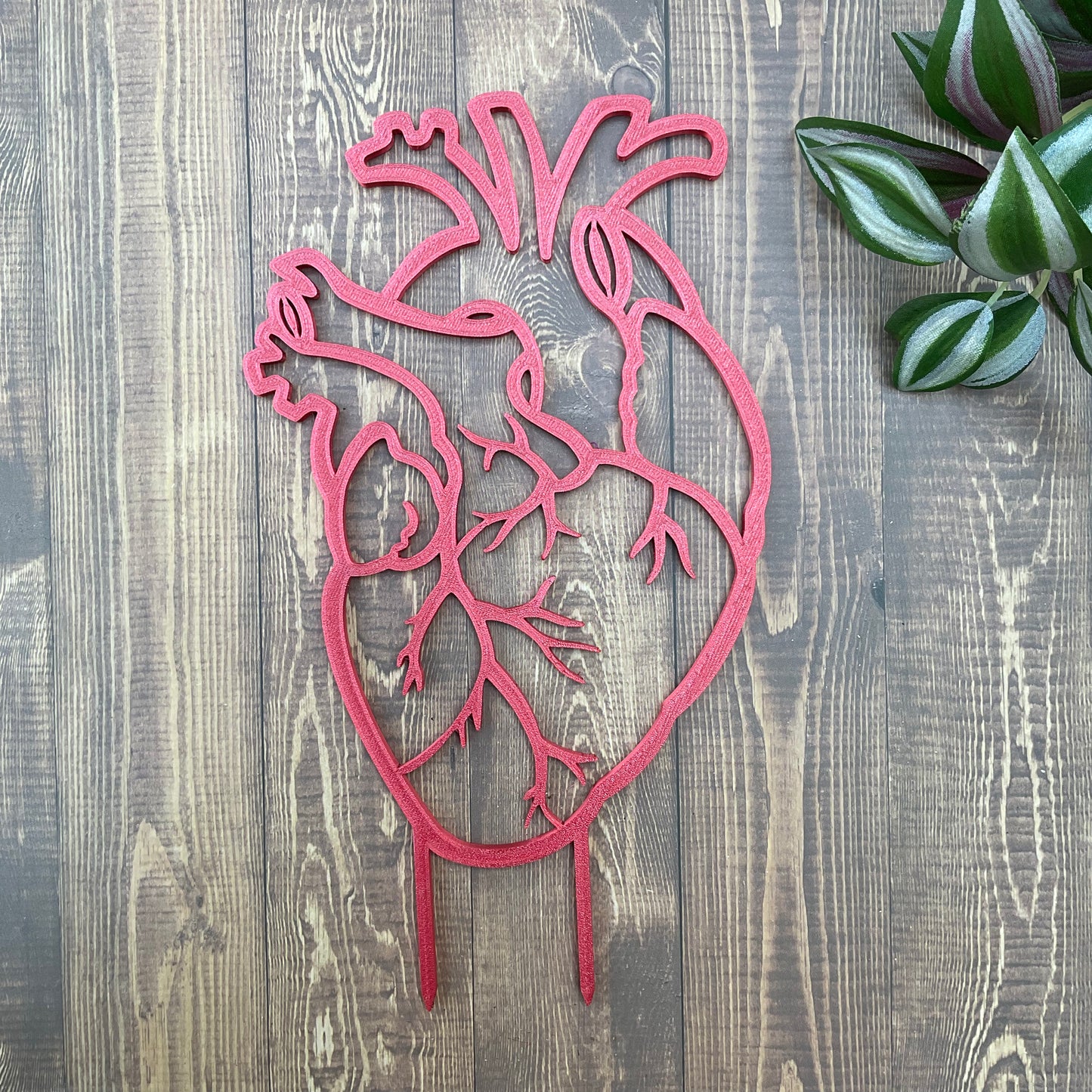 Anatomical Heart Trellis