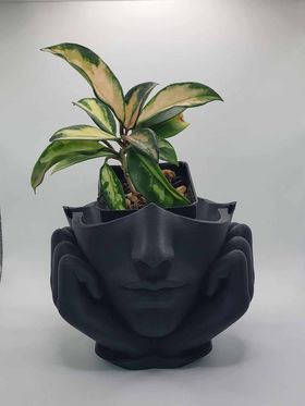 Venus Face Planter