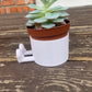 Plant Pot With Sneakers
