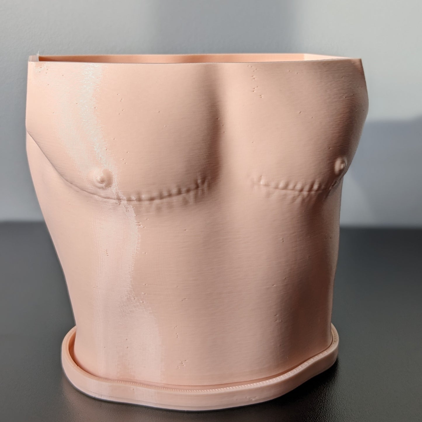 Barkley Top Surgery Planter