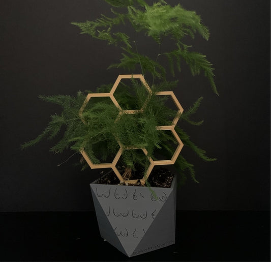 Mini Honeycomb Trellis