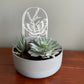 Moth in a Jar Trellis