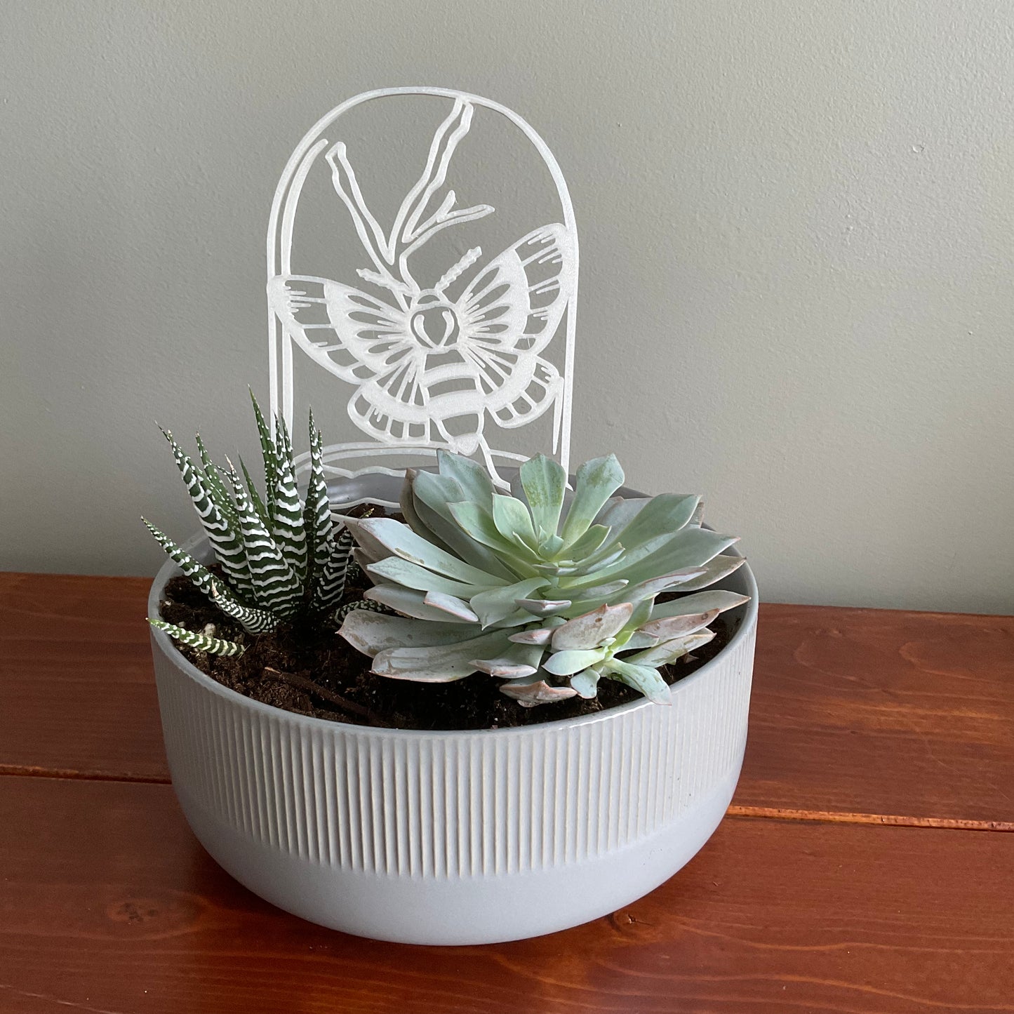 Moth in a Jar Trellis